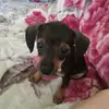 Tammy Bruner - @tammybruner348 - TikTok