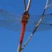 Tammy Bruton - Facebook