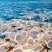 Tammy Buckner - Facebook