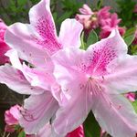 Tammy Buckner - @tammy.buckner.9849 - Instagram