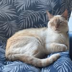 Tammy Buckner Richer - @tammy.b.richer - Instagram