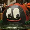 Tammy Buckner Zimmerline - @tammy.buckner.zim - TikTok