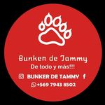 Bunker de Tammy - @bunker_de_tammy - Instagram
