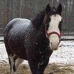 Tammy Burch - @burch6992 - Instagram