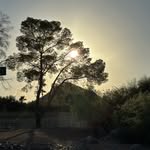 Tammy Burchett - @tammy_burchett - Instagram