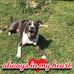 Tammy Burchett - Facebook