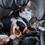 Tammy Burger - @burger_tammy - Instagram