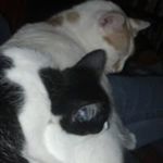 Tammy Burkhalter Gahagan - @gahagantammy - Instagram