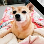 Tammy Burkhalter Webb - @tamwebb - Instagram