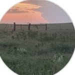 Tammy Burkhalter Webb - @tamwebb__ - Instagram