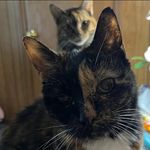 Tammy Burt - @tammyt622 - Instagram