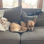Tammy, George and Burt - @tammy_burt_george - Instagram