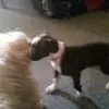 tammyburt95 - @tammyburt95 - TikTok