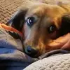 tammyburtonhartkorn - @tammyburtonhartkorn - TikTok