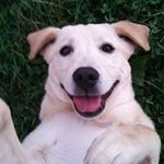 Tammy Butcher - @seadootam - Instagram