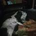 Tommy Buzzetta - Facebook