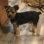 Tammy Byrum - @tammy.byrum.5 - Instagram