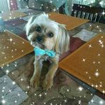 Tammy Cabral - @tamiann74 - Instagram