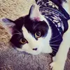 Tammi May Cairns - @tammimaycairns - TikTok