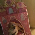 Tammy Cairns - @tambow_cairns - Instagram