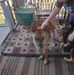 Tammy Caldwell - Facebook