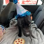 Tammy Caley - @lovebug5257 - Instagram