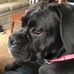 Tammy Camden - Facebook