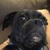 Tammy Camden - Facebook