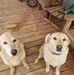 Tammy Camp - Facebook