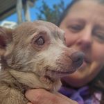 Tammy Campbell - @tammycampbell2073 - Instagram