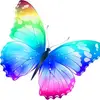 tammycamp06 - @tammy.camp2 - TikTok