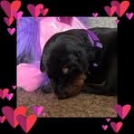 Tammy Capps - Facebook