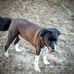 Tammy Cardinal - Facebook