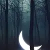 Tammy Cardinal - @tammy.cardinal7 - TikTok