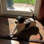 Tammy Brough - @tammy.moffett.cardinal - Instagram