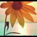 Tupperware with Tammy Carlin - Facebook