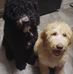 Carnes Tammy - Facebook