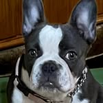 Tammy Carnes - @tammy.carnes.14 - Instagram