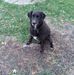 Tammy Cary - Facebook