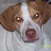 tammycary7 - @tammycary7 - TikTok