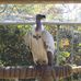 Tammy Catlett - Facebook