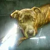 Tammy Caton - @tammy.caton - TikTok