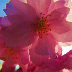 Tammy Caudle - @tammycaudle - Instagram