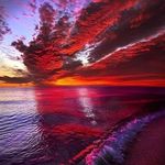 Tammy Cauthen - @jotomal - Instagram
