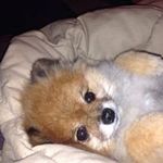 Tammy Cavanaugh Comer - @tammycomer13 - Instagram