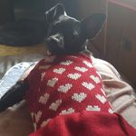 Tammy Chambers - @tammy.morgan.545402 - Instagram
