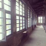 T.C.Ting - @tammy__chang - Instagram