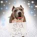 Tammy Charters - Facebook
