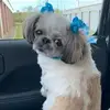 tammycharters855 - @tammycharters855 - TikTok