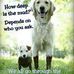 Tammy Chick - Facebook